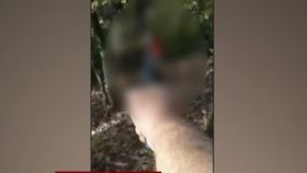 VIDEO Pădurar atacat. Hoțul nu s-a speriat de pistol
